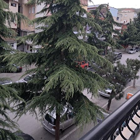 New Apartament Pogradec Eksteriør billede